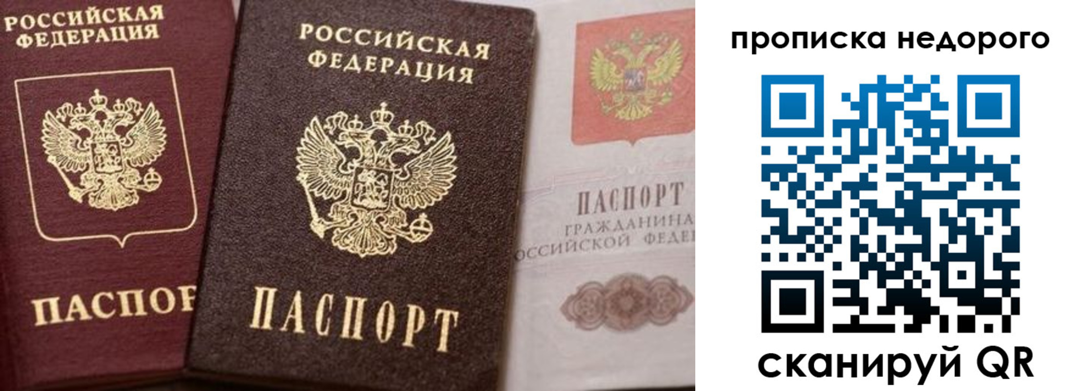 временная регистрация надежно в Амурске